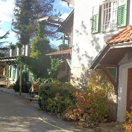 אורחן Hirschenhof