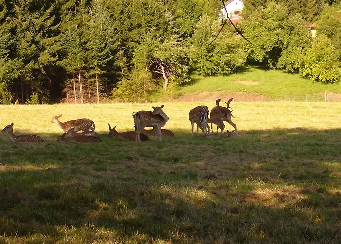 Värdshus Hirschenhof